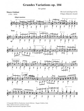 Grandes Variations op. 104