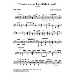 Variazioni sopra un Tema di Schuster op. 25