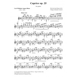 Caprice op. 25