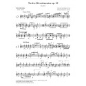 Twelve Divertimentos op. 23