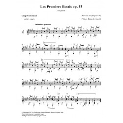 Les premiers essais op. 55