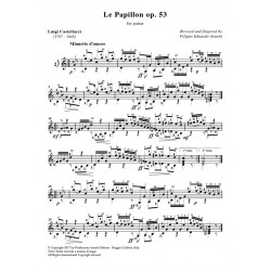 Le Papillon op. 53