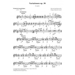 Variationen op. 30