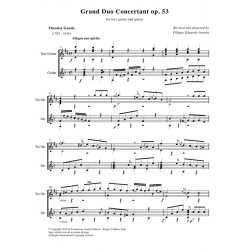 Grand Duo Concertant op. 53