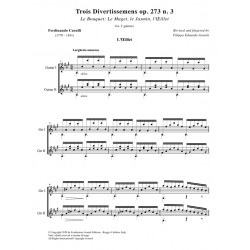 Trois Divertissemens op. 273 n. 3
