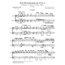 Trois Divertissemens op. 273 n. 2