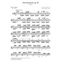 Divertissemens op. 29