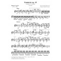 Fantaisie op. 35