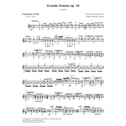 Grande Sonata op. 16